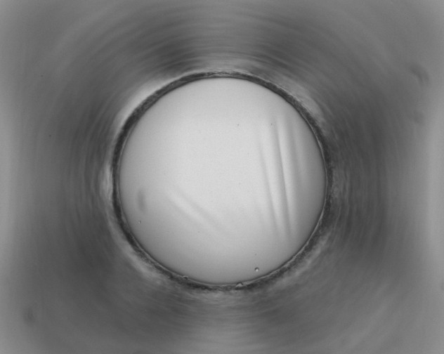 X0000113860936200910081703