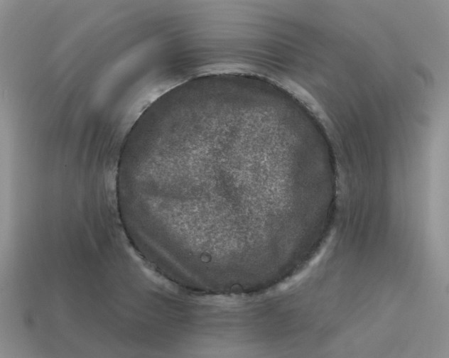 X0000113860937200910081703