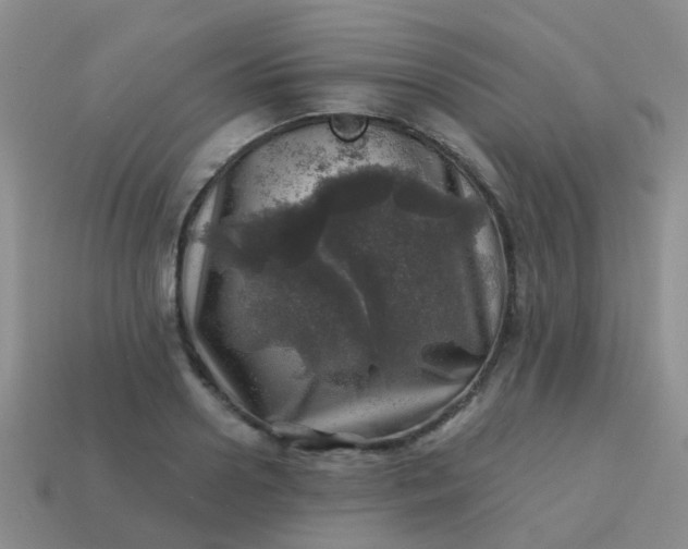 X0000113860938200910081703