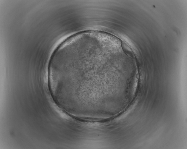 X0000113860940200910081703