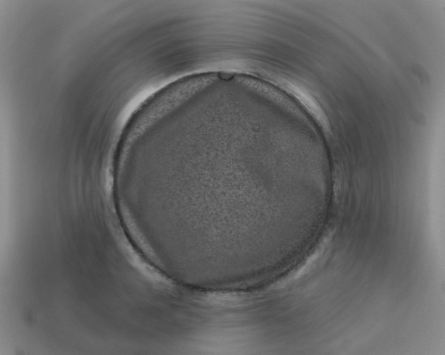 X0000113860944200910081703
