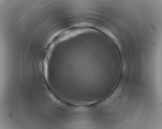 X0000113860945200910081703