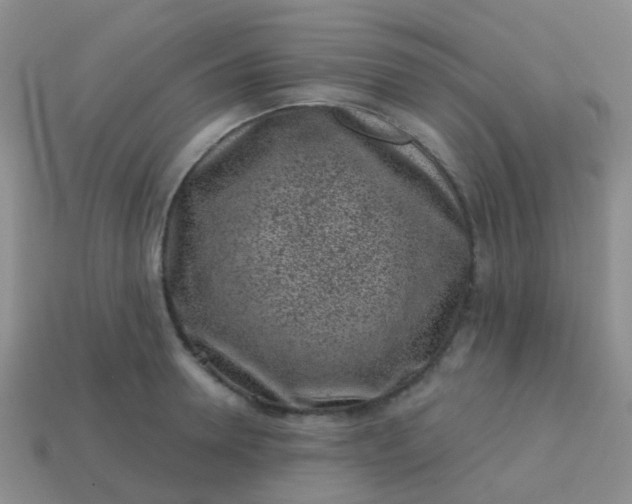 X0000113860946200910081703