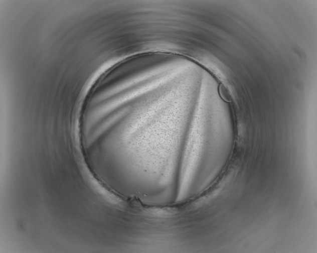 X0000113860947200910081703