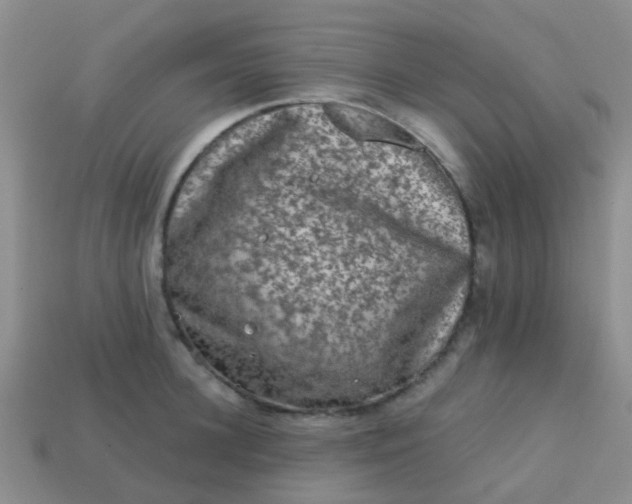 X0000113860948200910081703