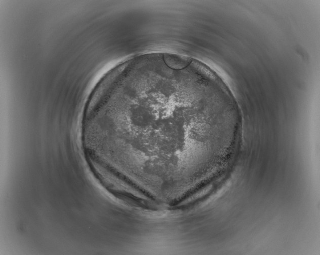 X0000113860949200910081703
