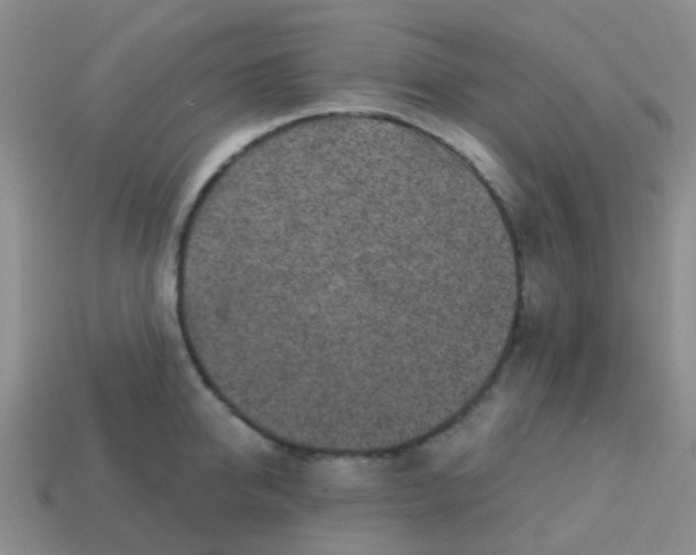 X0000113860950200910081703