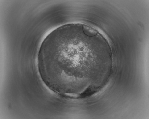 X0000113860951200910081703