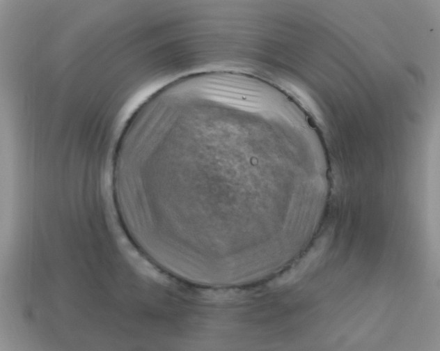 X0000113860952200910081703