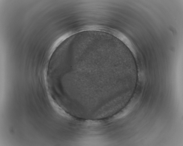 X0000113860954200910081703