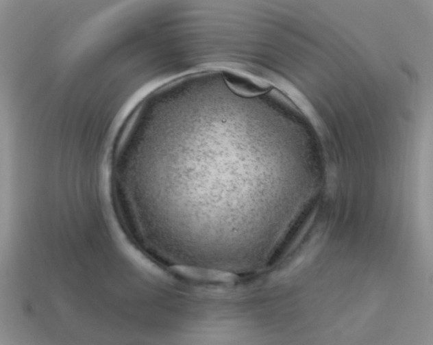 X0000113860955200910081703