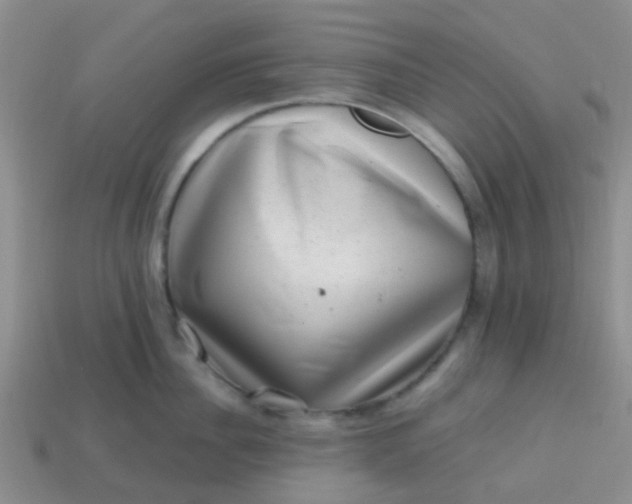 X0000113860956200910081703