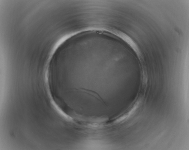 X0000113860958200910081703