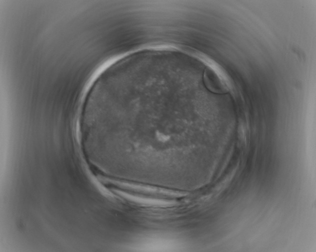 X0000113860959200910081703