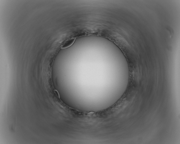 X0000113860961200910081703