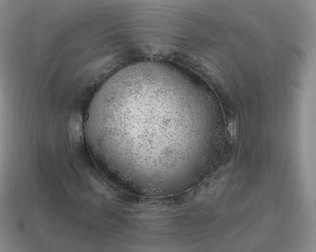 X0000113860963200910081702