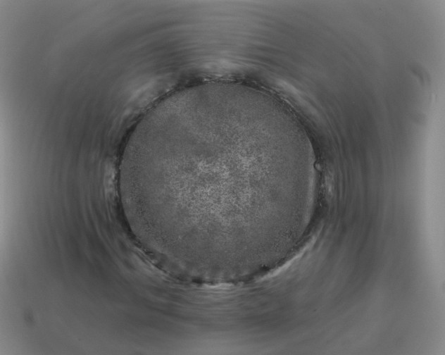 X0000113860964200910081702