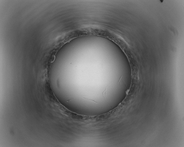 X0000113860965200910081702