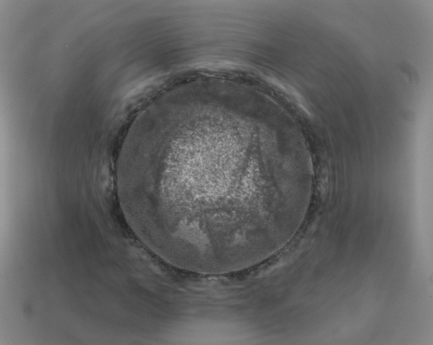 X0000113860966200910081702