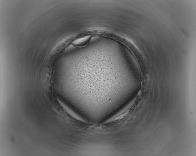 X0000113860967200910081702