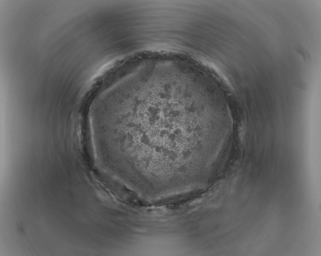 X0000113860968200910081702