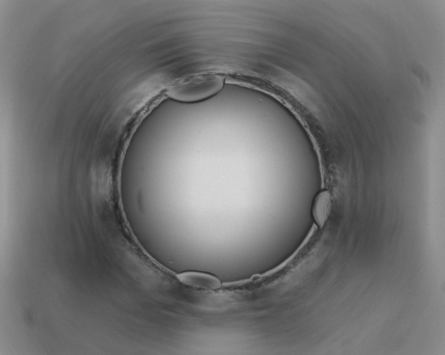 X0000113860969200910081702