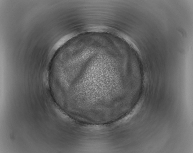 X0000113860970200910081702