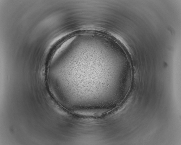 X0000113860971200910081702
