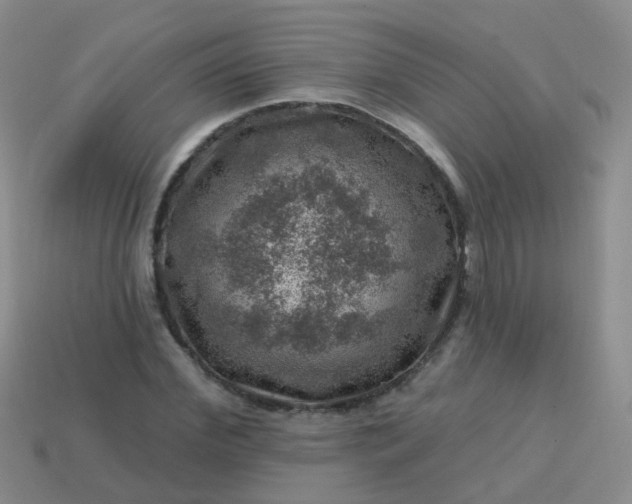 X0000113860972200910081702