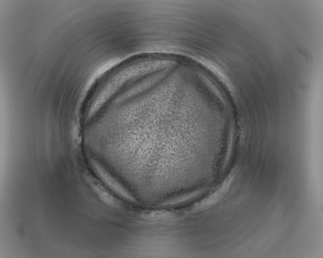 X0000113860974200910081702
