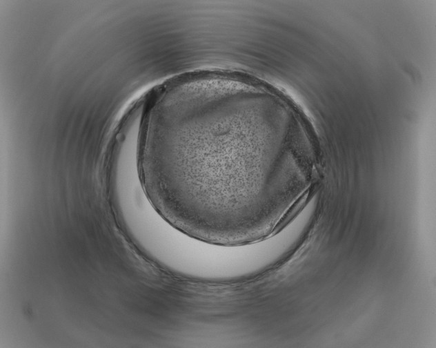 X0000113860975200910081702