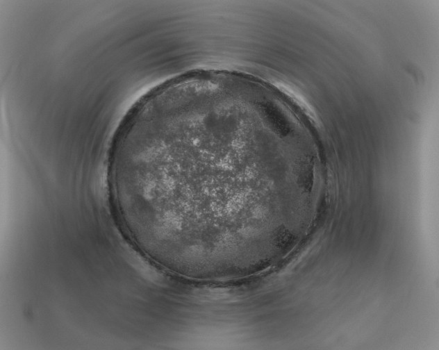 X0000113860976200910081702