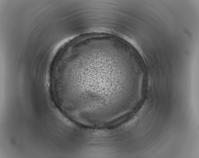 X0000113860979200910081702