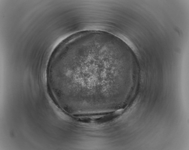 X0000113860980200910081702