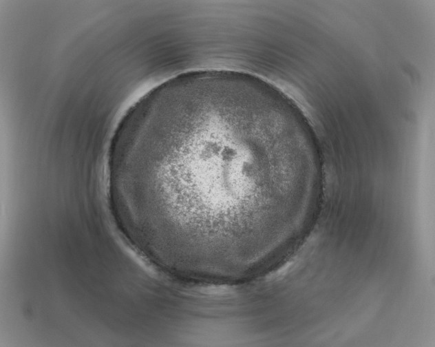 X0000113860982200910081702