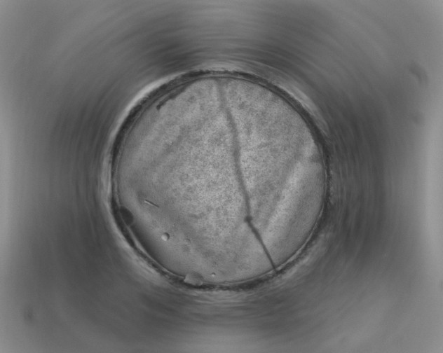 X0000113860984200910081702
