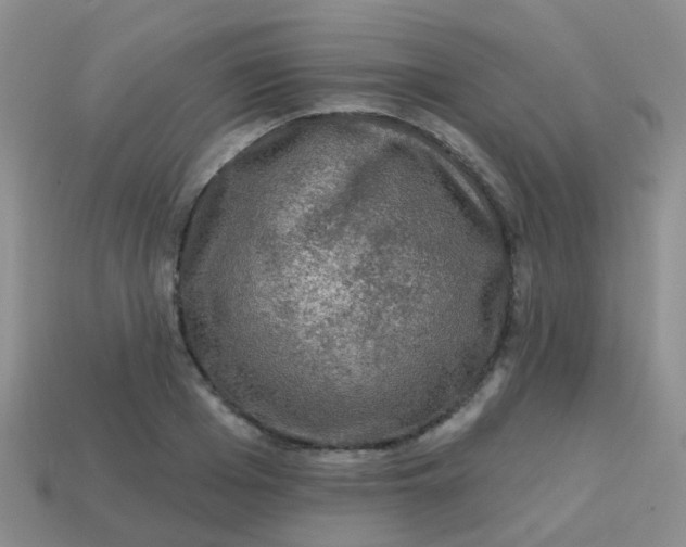 X0000113860985200910081702