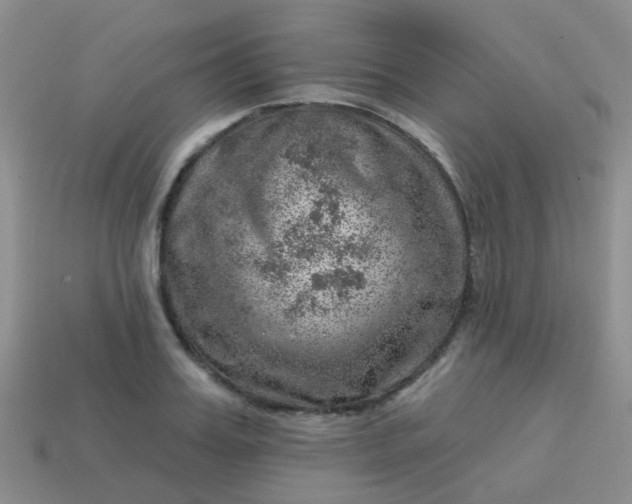 X0000113860987200910081702