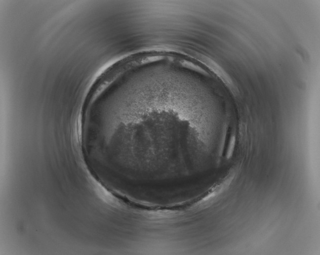 X0000113860988200910081702