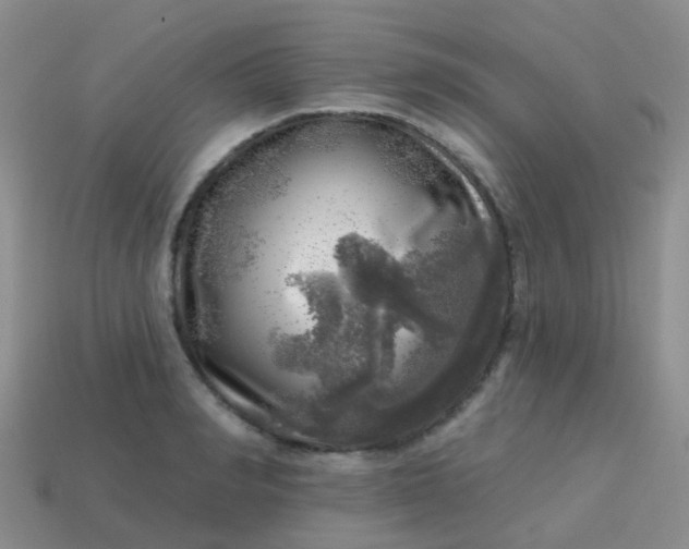 X0000113860990200910081702