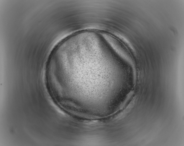 X0000113860991200910081702