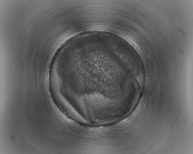 X0000113860992200910081702