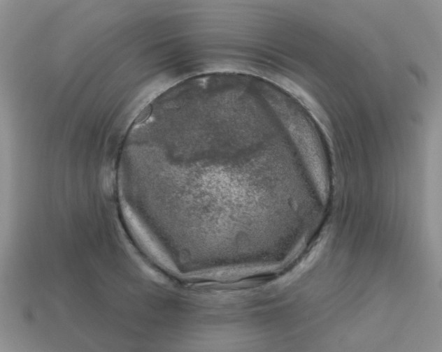 X0000113860993200910081702