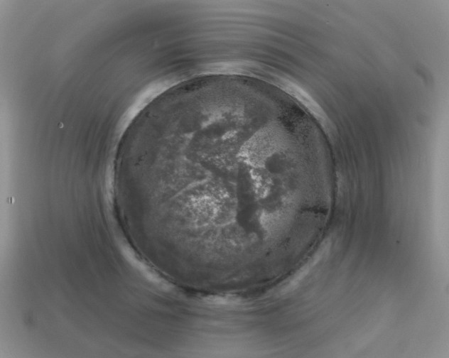 X0000113860994200910081702