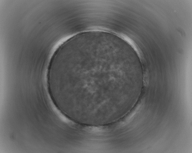 X0000113860995200910081702