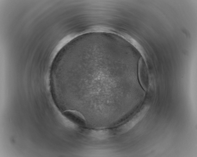 X0000113860997200910081702
