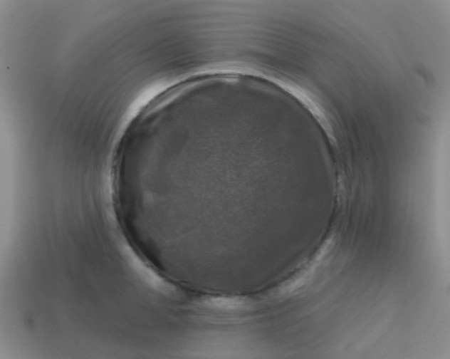 X0000113860998200910081702