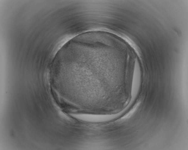 X0000113861001200910081702