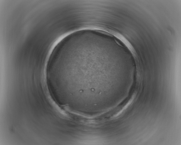 X0000113861004200910081702