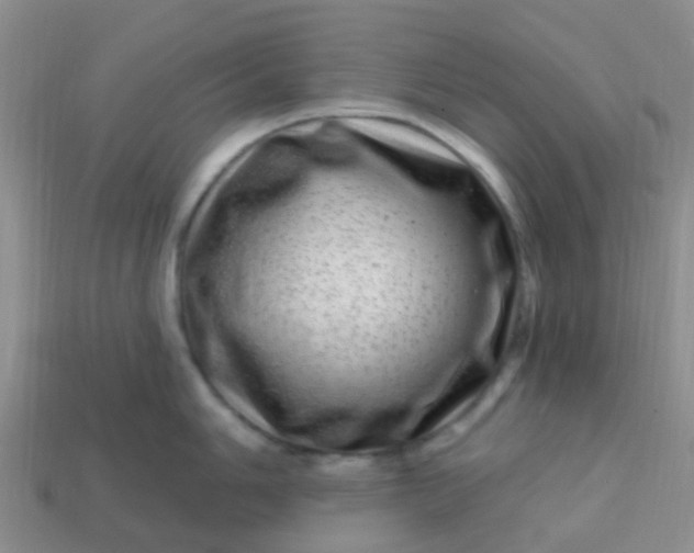 X0000113861006200910081702